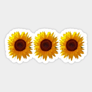 Three Sunflowers for Mothers Day Sticker